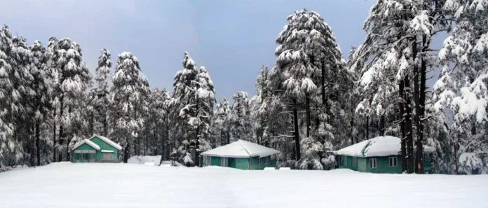 Patnitop | Perfect Winter Destination For Tourists