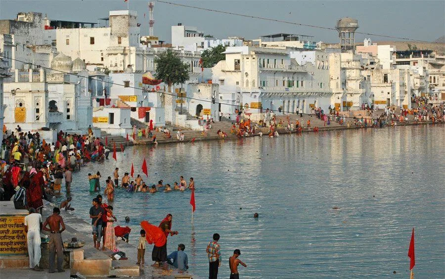 Hotels in pushkar