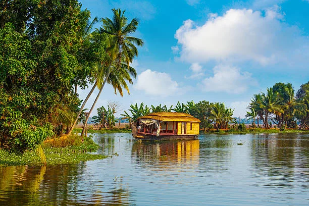 Cochin tour packages