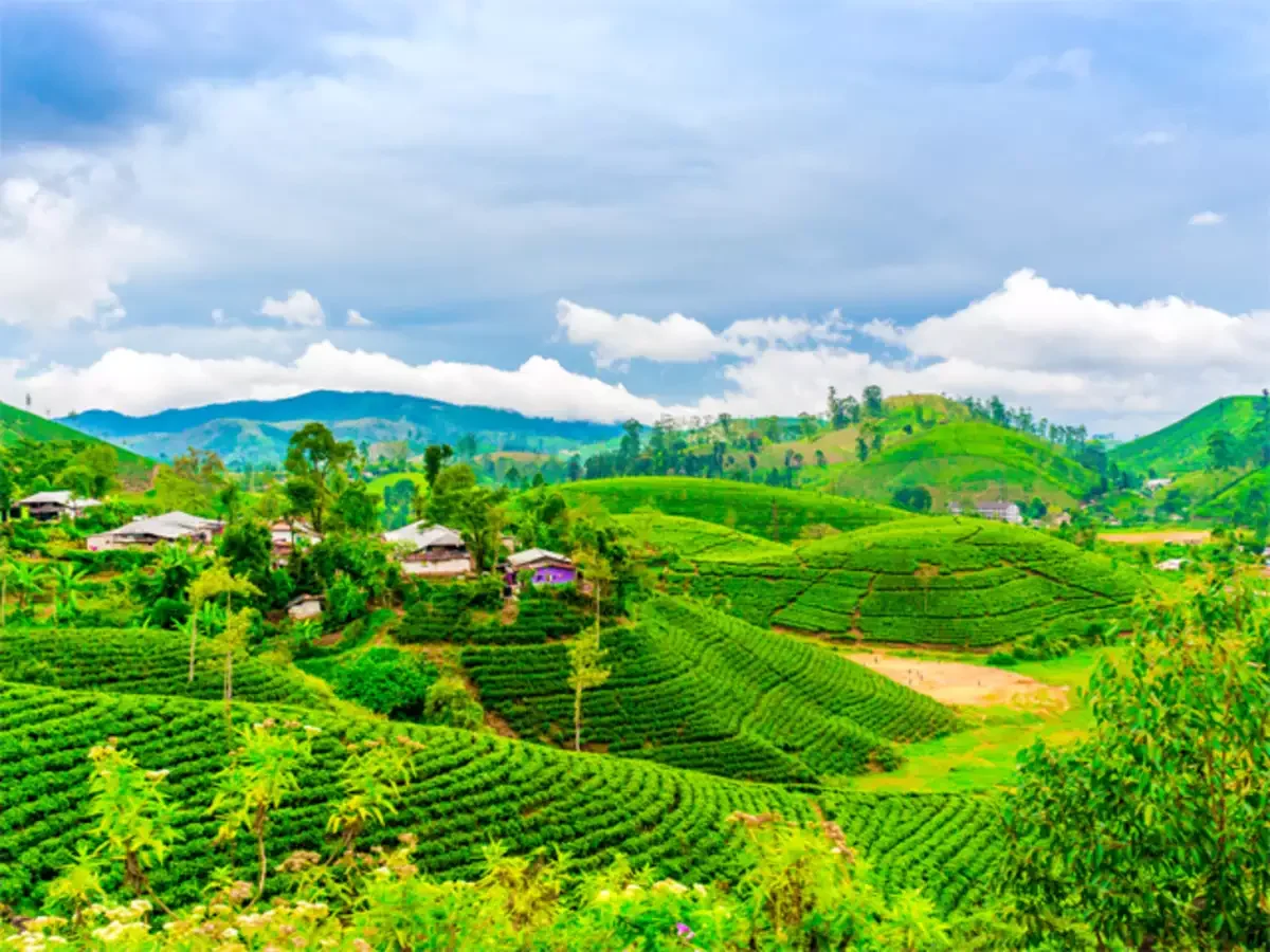 Darjeeling Mirik Kalimpong Tour Package