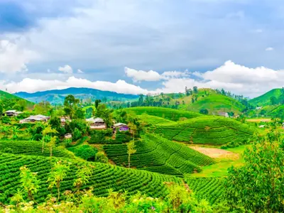 Darjeeling Mirik Kalimpong Tour Package