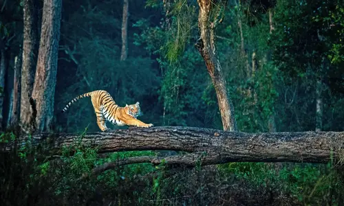 Nainital Jim Corbett Mussoorie Tour Package From Mumbai By Train